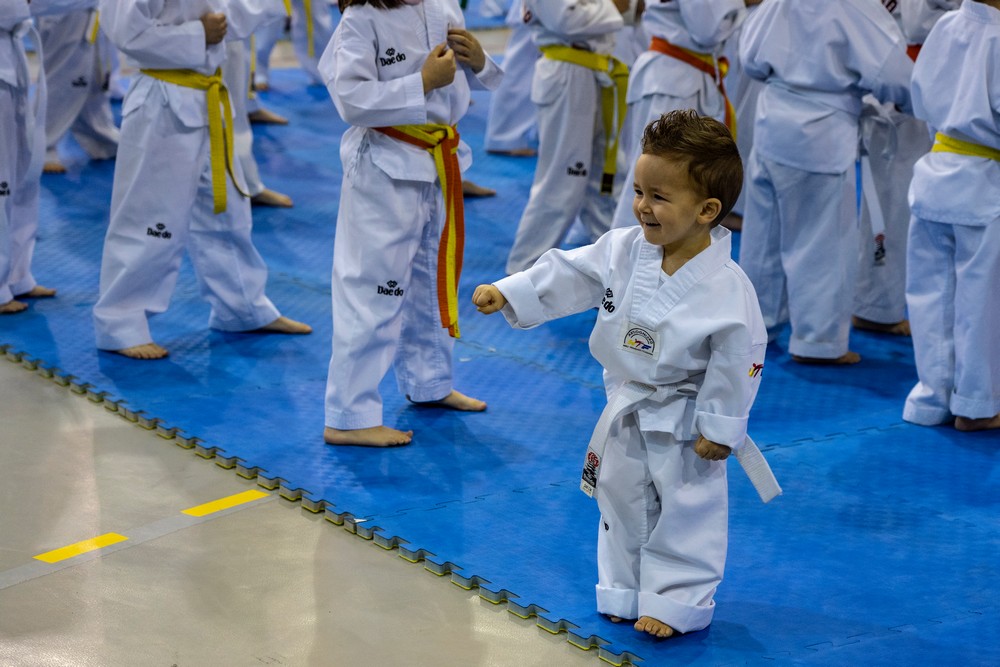 GALERIA DE FOTOS 8 FESTIVAL INFANTIL DE TAEKWONDO 2019